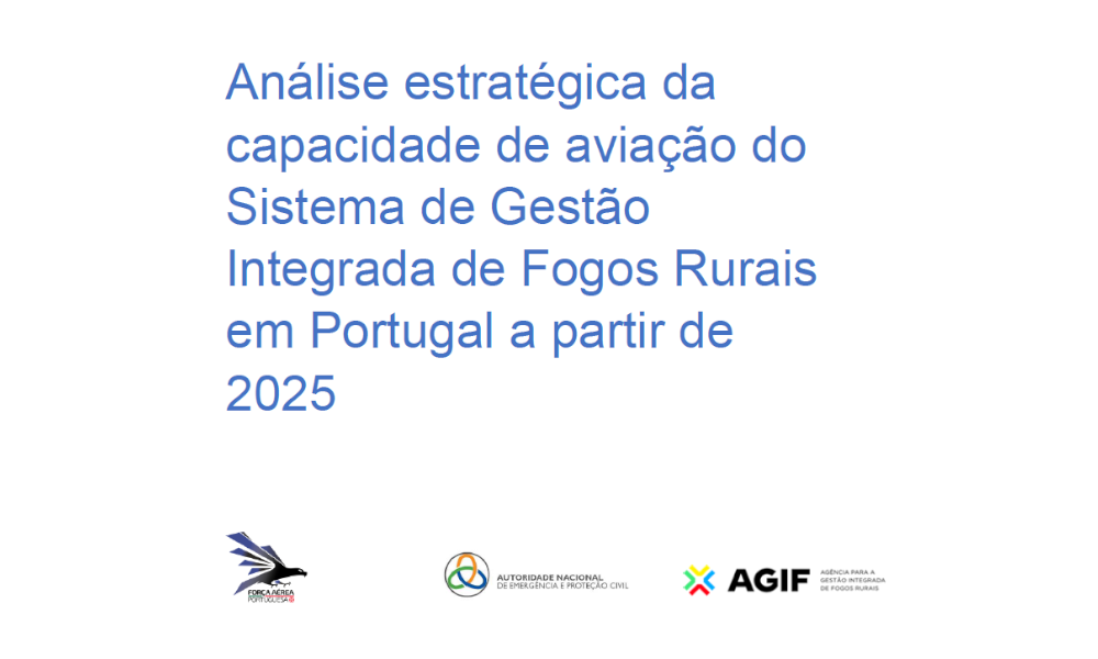 Análise estratégica da capacidade de aviação do Sistema de Gestão Integrada de Fogos Rurais em Portugal a partir de 2025