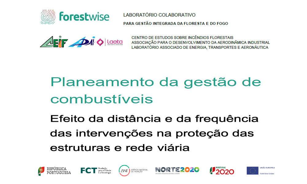 Planeamento da gestão de combustíveis - Efeito da distância e da frequência das intervenções na proteção das estruturas e rede viária