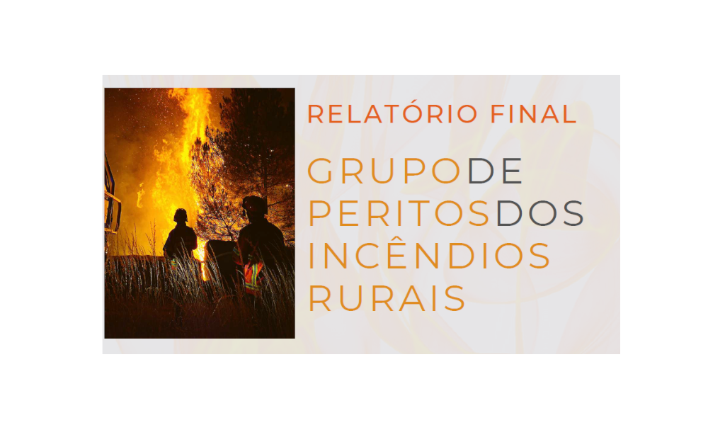 Relatório Final do Grupo de Peritos dos Incêndios Rurais