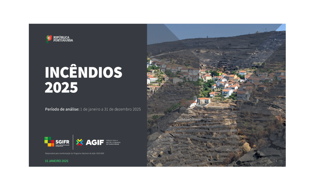 Informação sobre Incêndios Rurais de 2025