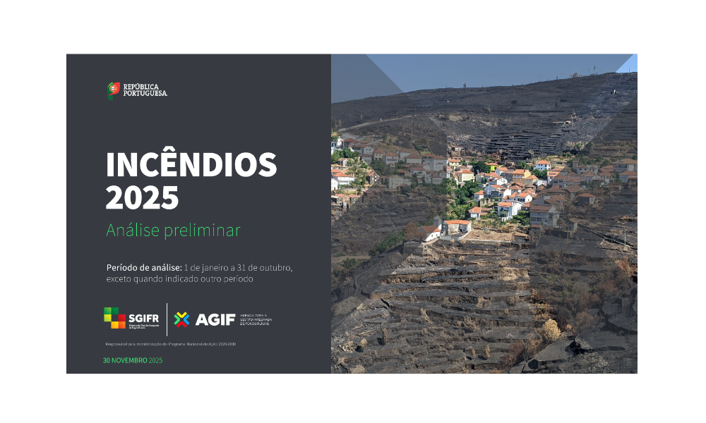 Análise Preliminar dos Incêndios Rurais de 2025, referente ao período de 1 de janeiro a 31 de outubro