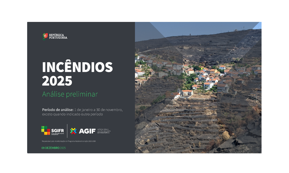 Análise Preliminar dos Incêndios Rurais de 2025, referente ao período de 1 de janeiro a 30 de novembro