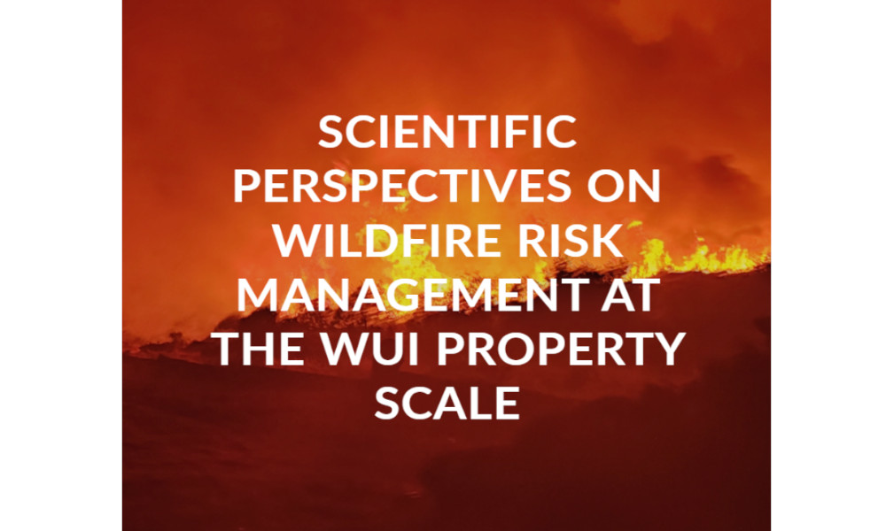 Scientific perspectives on wildfire risk management at the property scale of WUI