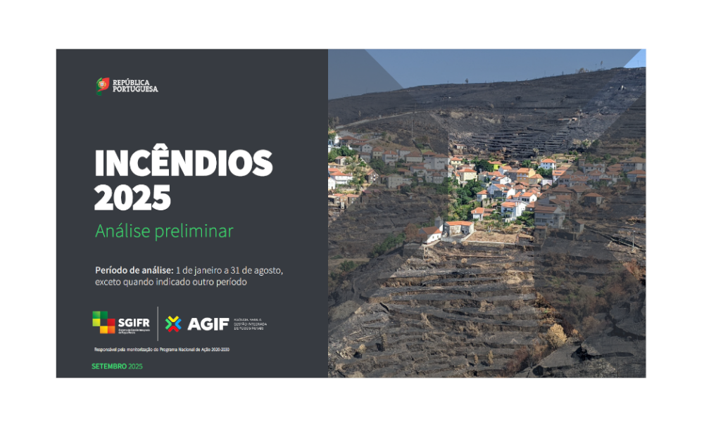 Análise Preliminar dos Incêndios Rurais de 2025, referente ao período de 1 de janeiro a 31 de agosto