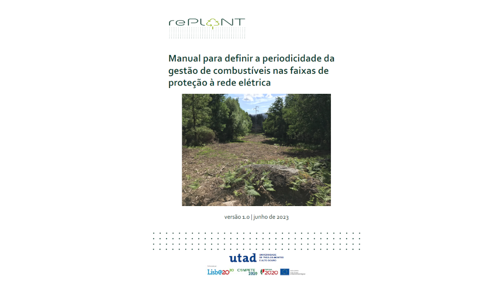 Manual para definir a periodicidade da gestão de combustíveis nas faixas de proteção à rede elétrica