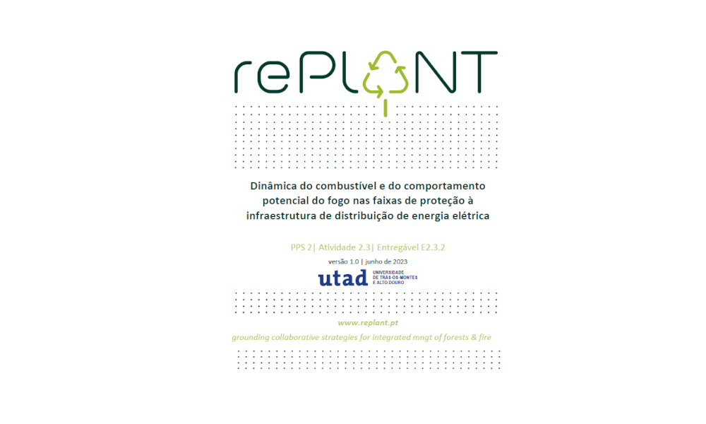 Dinâmica do combustível e do comportamento potencial do fogo nas faixas de proteção à infraestrutura de distribuição de energia elétrica