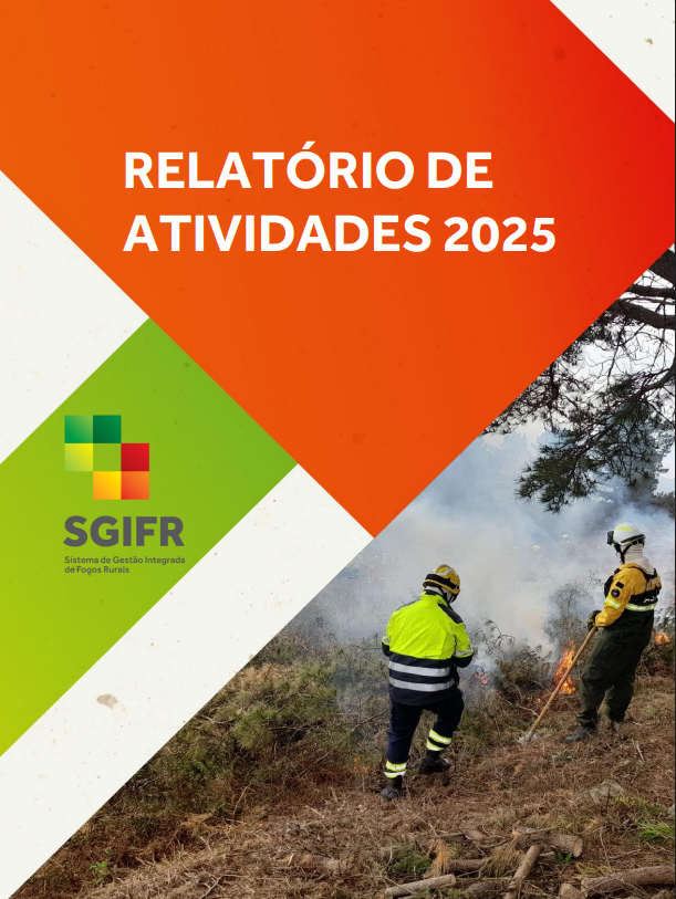 Relatório de Atividades 2025