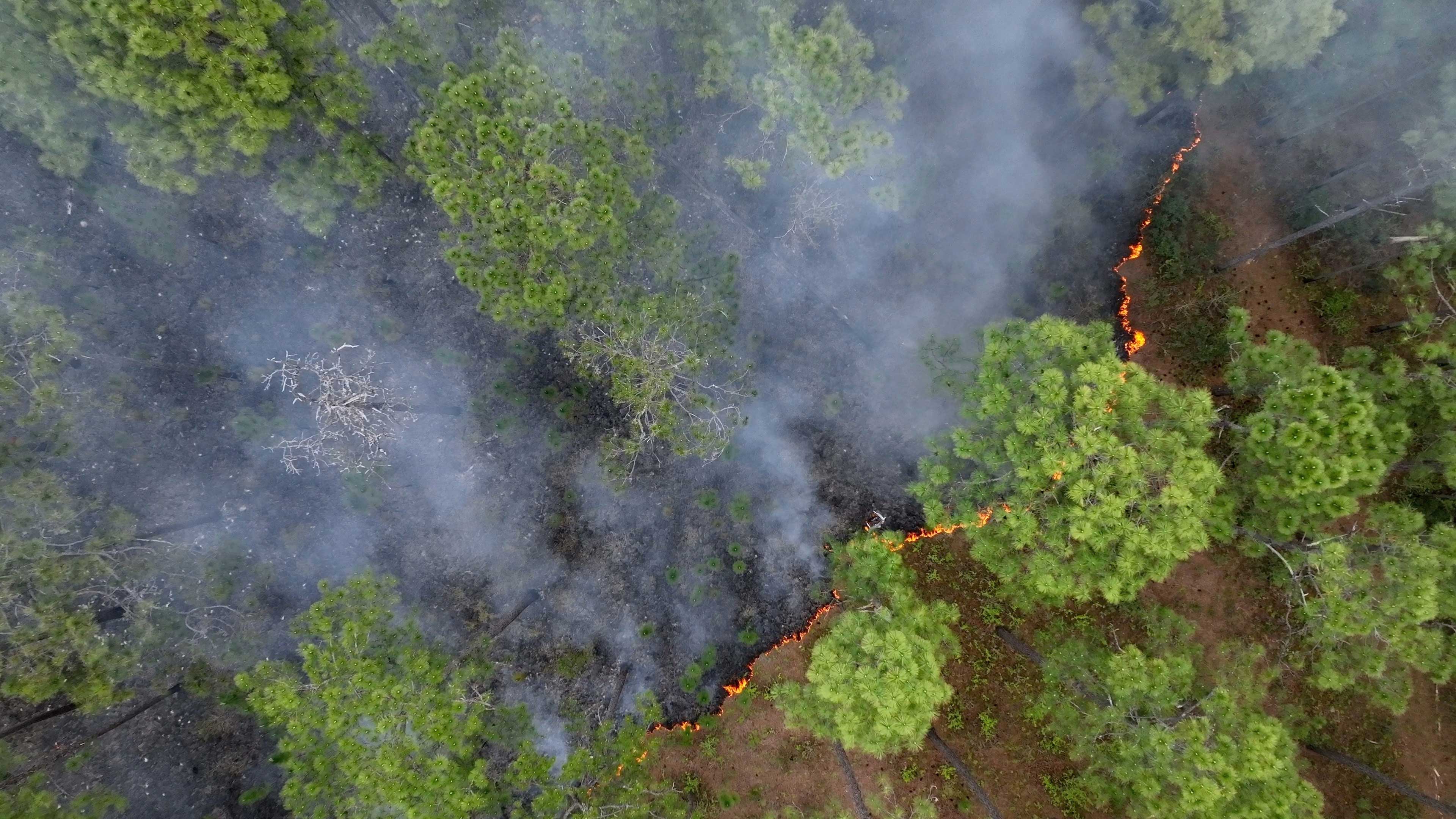AGIF e Earth Fire Alliance assinam Memorando de Entendimento para testar o sistema FireSat