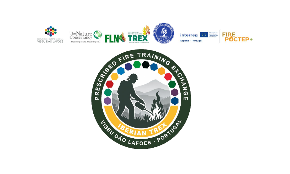 IBERIAN TREX VDL 2026