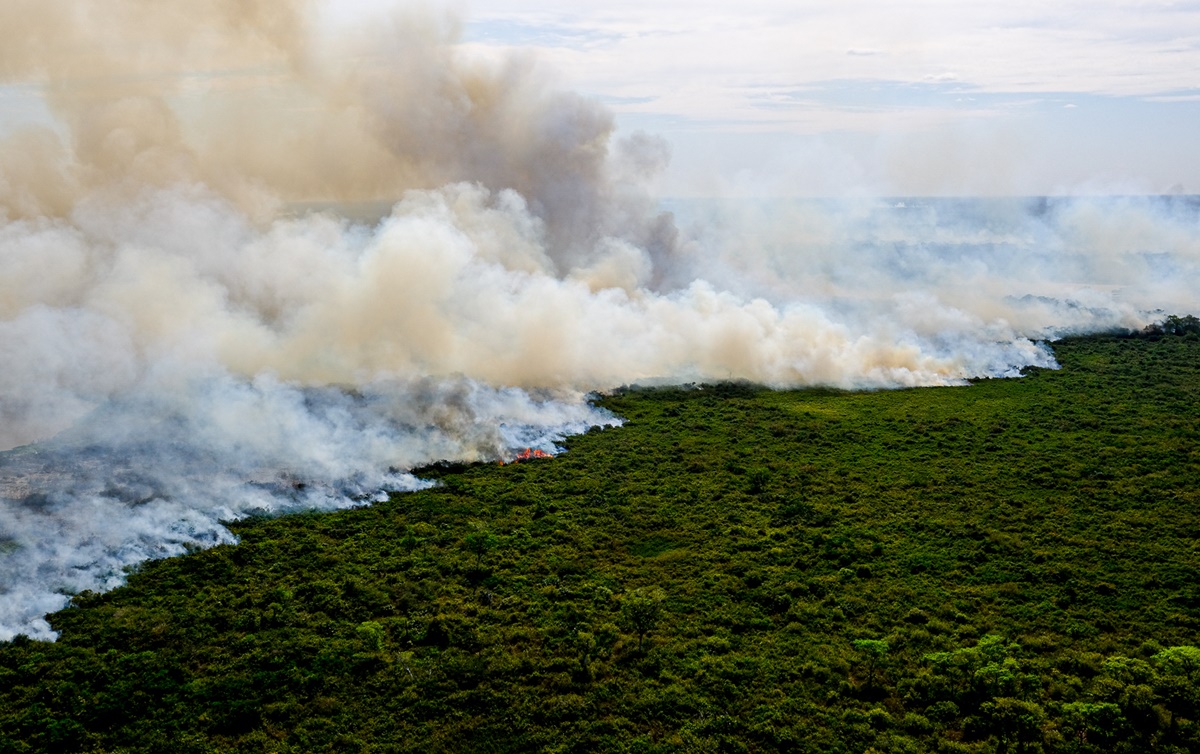 Especialistas portugueses colaboram na gestão de incêndios, no Brasil
