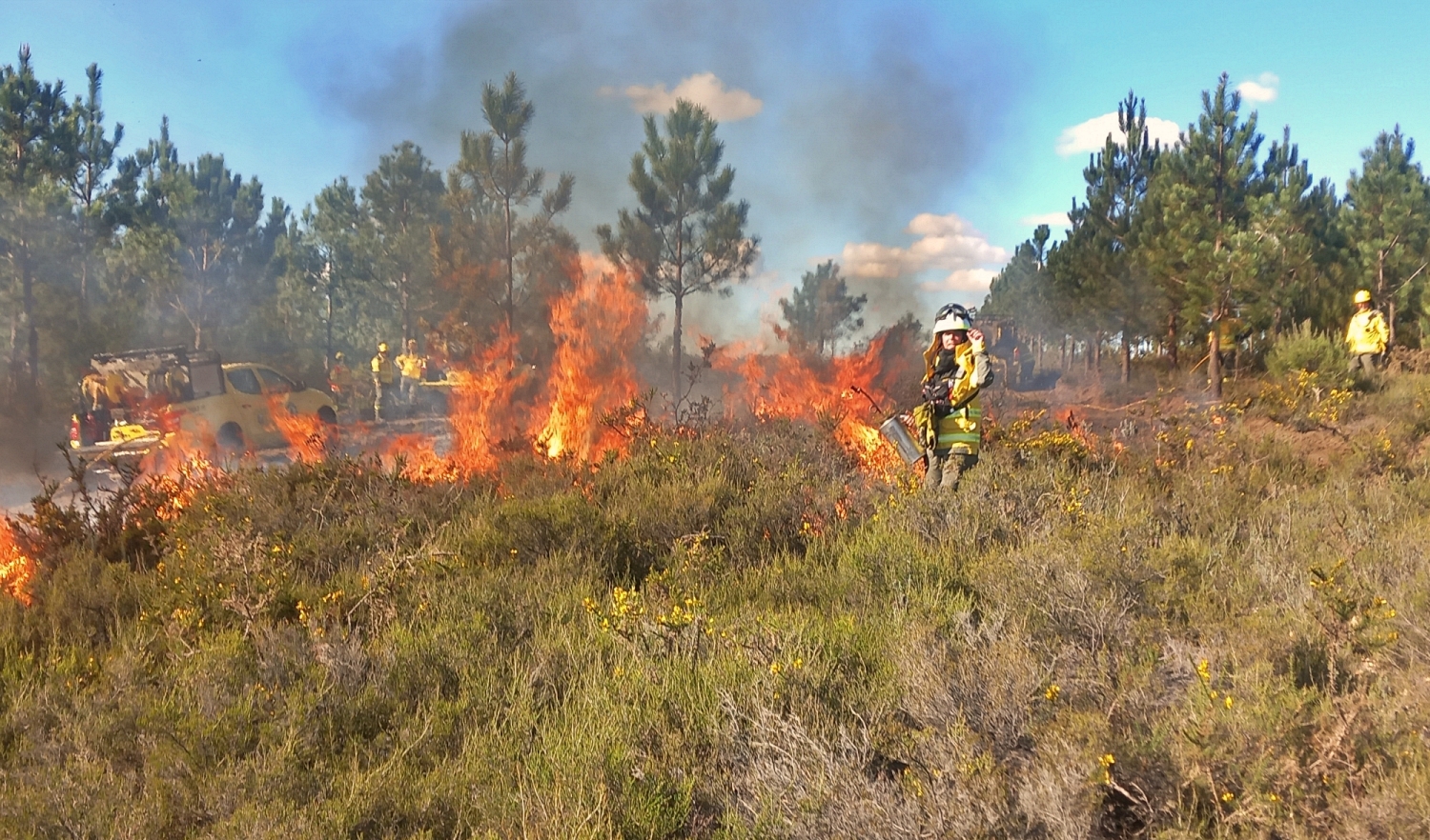 Várias ações de fogo controlado na área da Chã - Caxarias