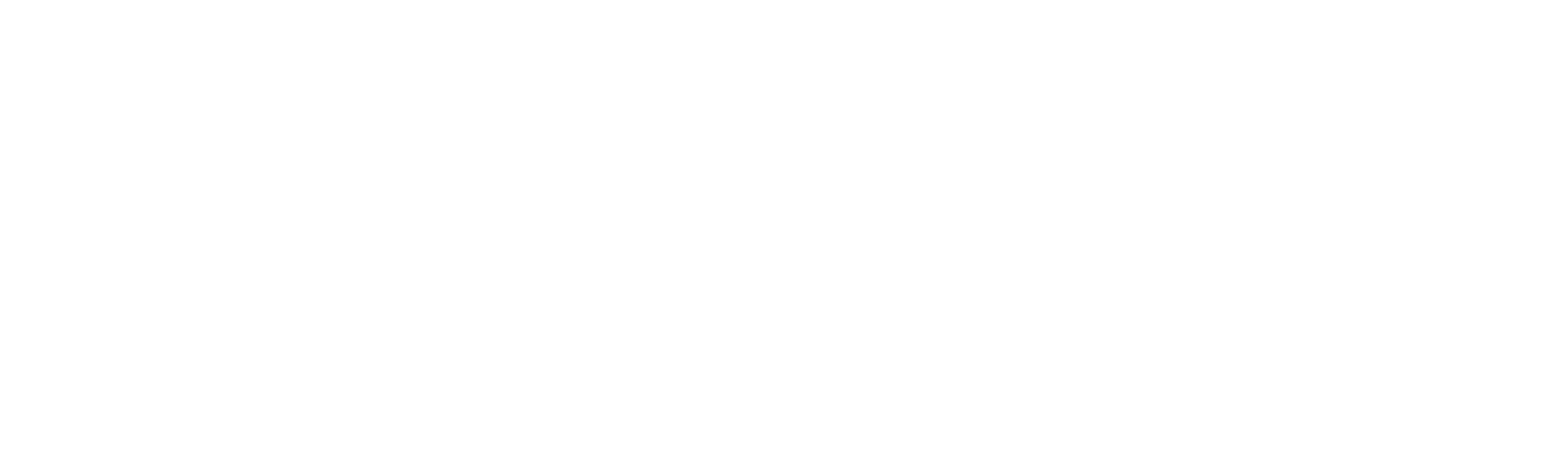 Compete PT 2020